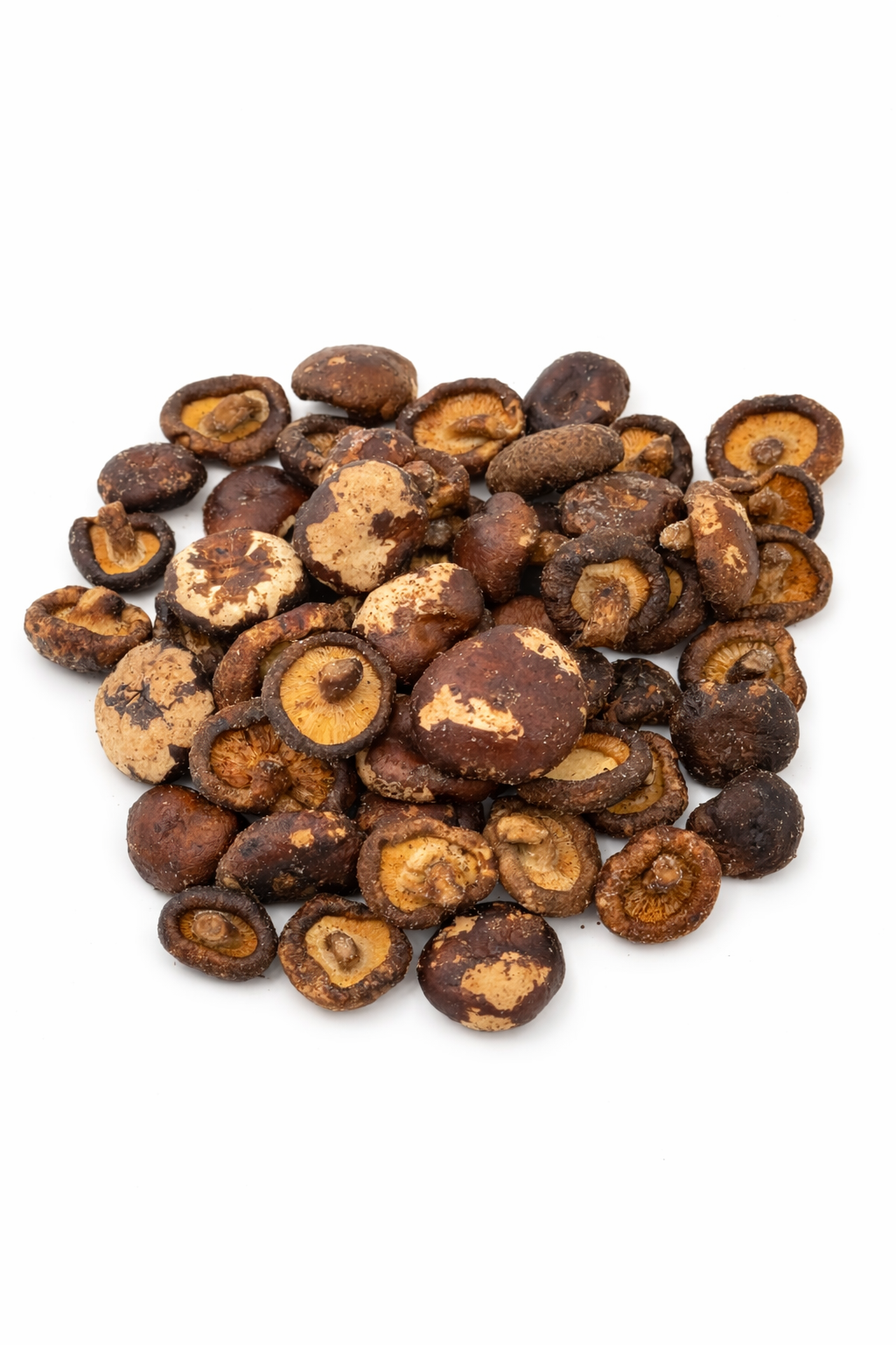 Gefriergetrocknete Shiitake Pilze – Aromatisch & Naturbelassen