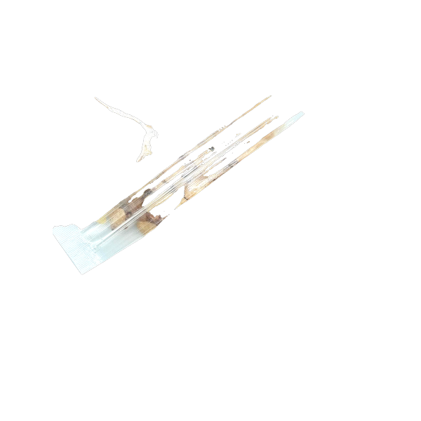 Olibanum (Weihrauch) – Wertvolles Boswellia-Harz mit traditioneller Wirkung 100g