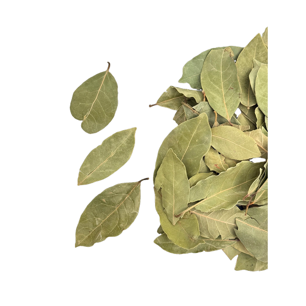 Lorbeerblatt – Klassisches Gewürz